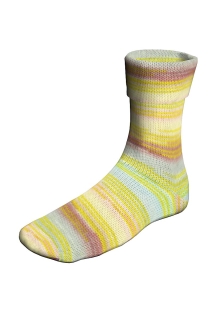 SUPER SOXX COLOR 4-FACH