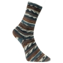 Golden Socks  4fach Fashion Y braun (17)